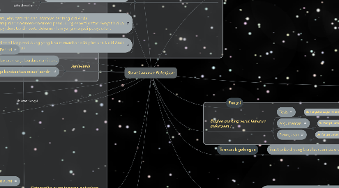 Mind Map: Surat Lamaran Pekerjaan