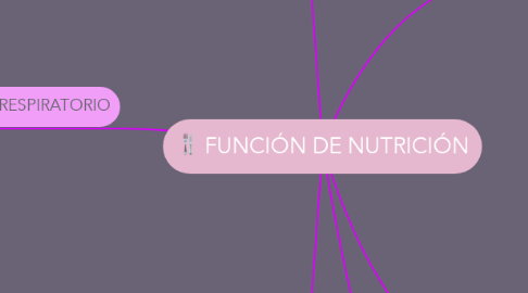 Mind Map: FUNCIÓN DE NUTRICIÓN