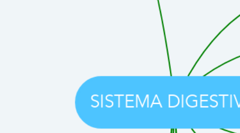Mind Map: SISTEMA DIGESTIVO