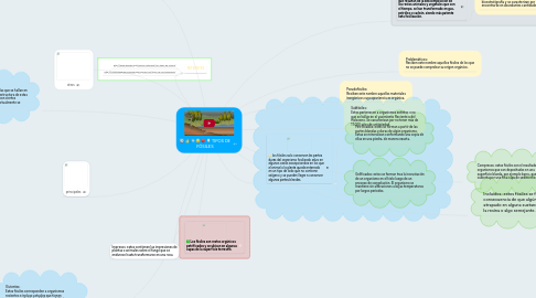Mind Map: TIPOS DE FÓSILES