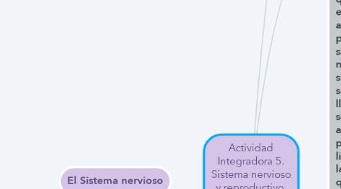 Mind Map: Actividad Integradora 5. Sistema nervioso y reproductivo. Por: Laura Belèn Gonzàlez Muñiz.