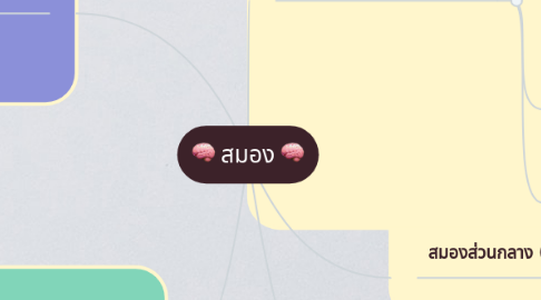 Mind Map: 🧠 สมอง 🧠