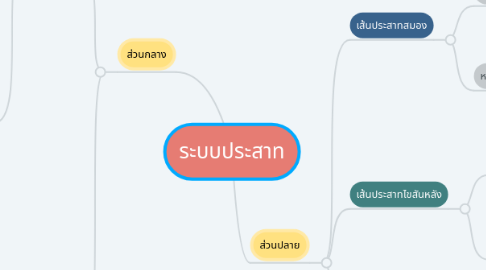 Mind Map: ระบบประสาท