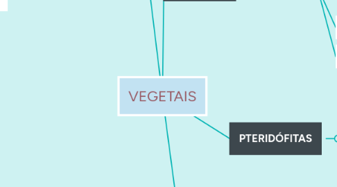 Mind Map: VEGETAIS