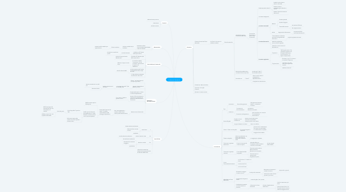 Mind Map: 2. Muscolo Scheletrico