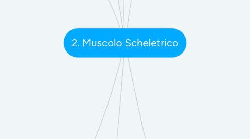 Mind Map: 2. Muscolo Scheletrico