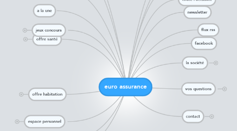 Mind Map: euro assurance