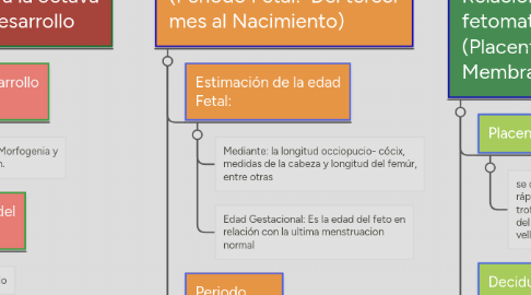 Mind Map: Embriologia