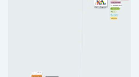 Mind Map: NATURALEZA Y TIPOS DE ORGANIZACIONES