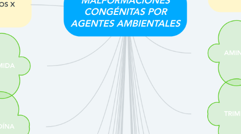 Mind Map: MALFORMACIONES CONGÉNITAS POR AGENTES AMBIENTALES