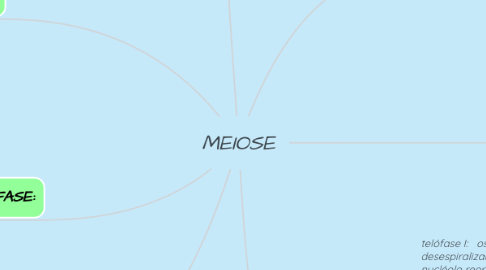 Mind Map: MEIOSE