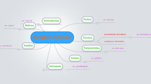 Mind Map: Kingdom Animalia