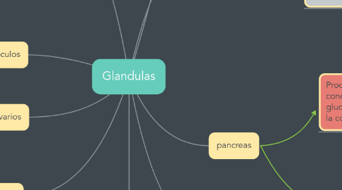 Mind Map: Glandulas
