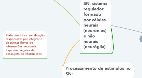 Mind Map: Bases morfofuncionais do Sistema Nervoso (SN)
