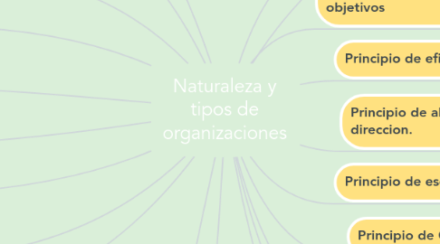 Mind Map: Naturaleza y tipos de organizaciones