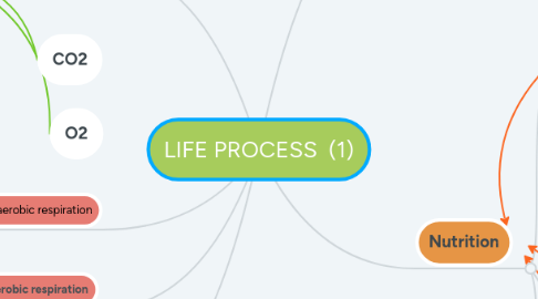 Mind Map: LIFE PROCESS (1)