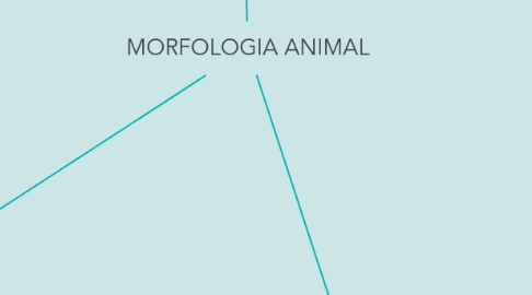 Mind Map: MORFOLOGIA ANIMAL
