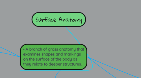 Mind Map: Surface Anatomy