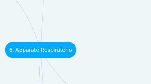 Mind Map: 6. Apparato Respiratorio