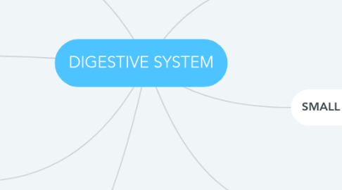 Mind Map: DIGESTIVE SYSTEM