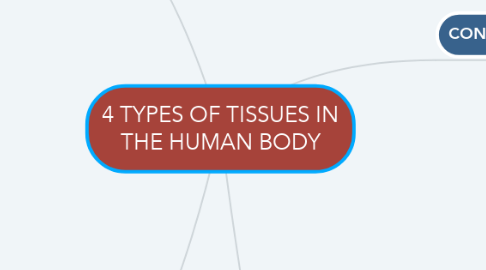 Mind Map: 4 TYPES OF TISSUES IN THE HUMAN BODY