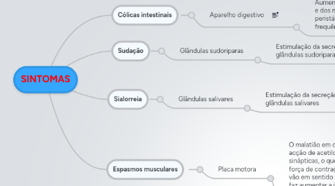 Mind Map: SINTOMAS