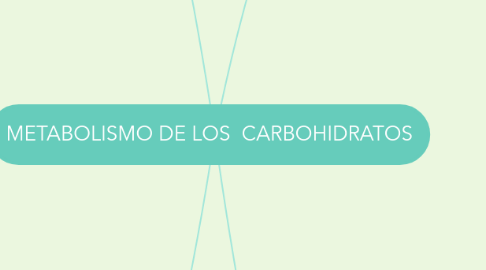 Mind Map: METABOLISMO DE LOS CARBOHIDRATOS