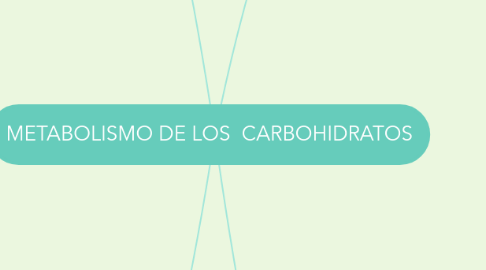 Mind Map: METABOLISMO DE LOS  CARBOHIDRATOS