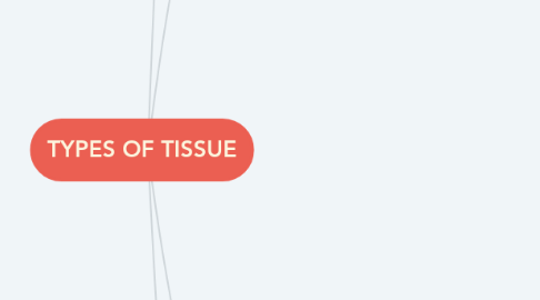 Mind Map: TYPES OF TISSUE