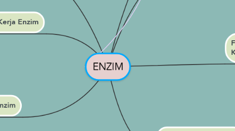 Mind Map: ENZIM