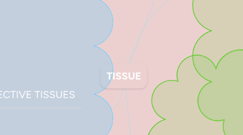 Mind Map: TISSUE