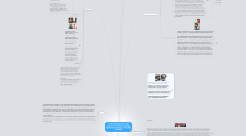 Mind Map: In what ways does your media product use, develop or challenge forms and conventions of real media products?