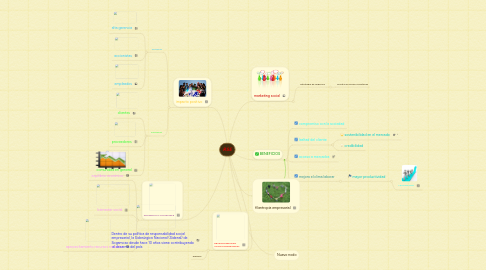 Mind Map: RSE