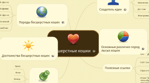 Mind Map: Бесшерстные кошки