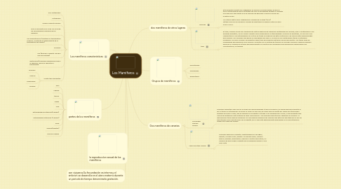 Mind Map: Los Mamíferos