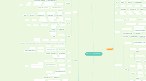 Mind Map: ANATOMÍA Y FISIOLOGÍA