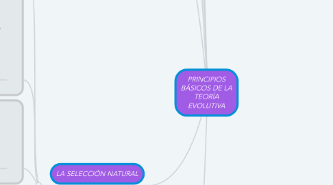 Mind Map: PRINCIPIOS BÁSICOS DE LA TEORÍA EVOLUTIVA