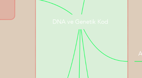Mind Map: DNA ve Genetik Kod