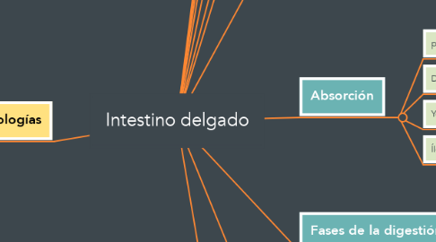 Mind Map: Intestino delgado