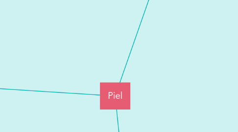 Mind Map: Piel