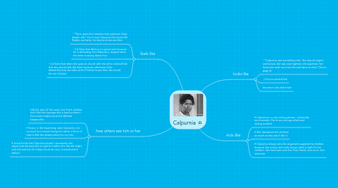 Mind Map: Calpurnia