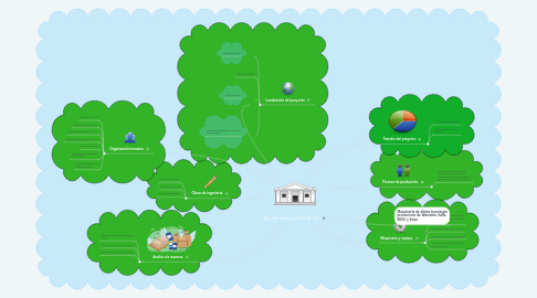 Mind Map: Estudio técnico CIALTA SAS