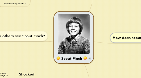 Scout finch character analysis essay