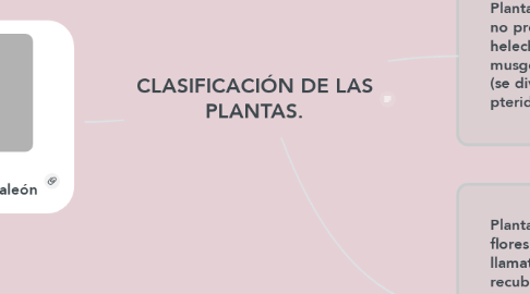 Mind Map: CLASIFICACIÓN DE LAS PLANTAS.