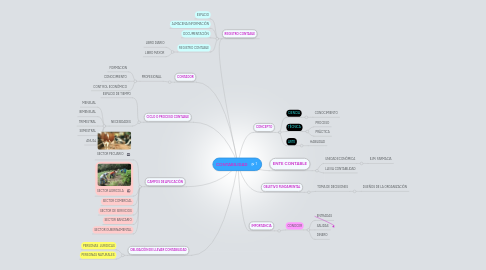 Mind Map: CONTABILIDAD