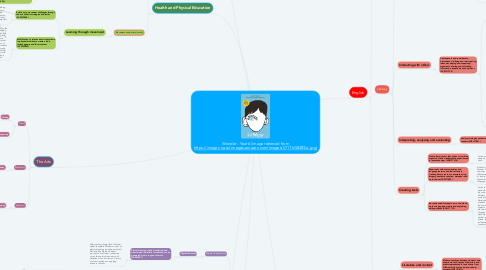 Mind Map: Wonder - Year 6 (image retrieved from https://images-na.ssl-images-amazon.com/images/I/71ThG84BTuL.jpg)