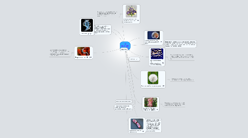 Mind Map: La tautologia darwinista.