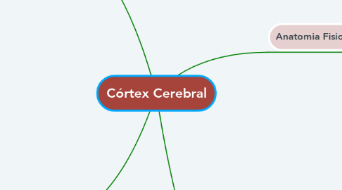 Mind Map: Córtex Cerebral