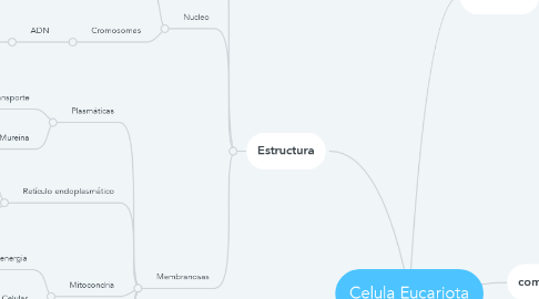 Mind Map: Celula Eucariota