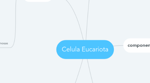 Mind Map: Celula Eucariota